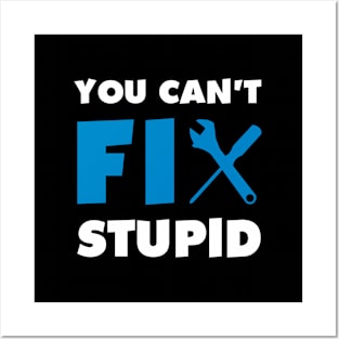 You Can'T Fix Stupid Posters and Art